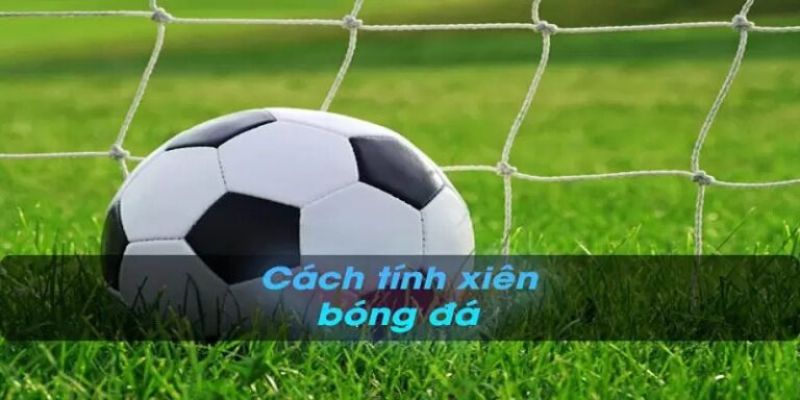 Hướng dẫn cách cá cược xiên bóng đá tăng hiệu quả