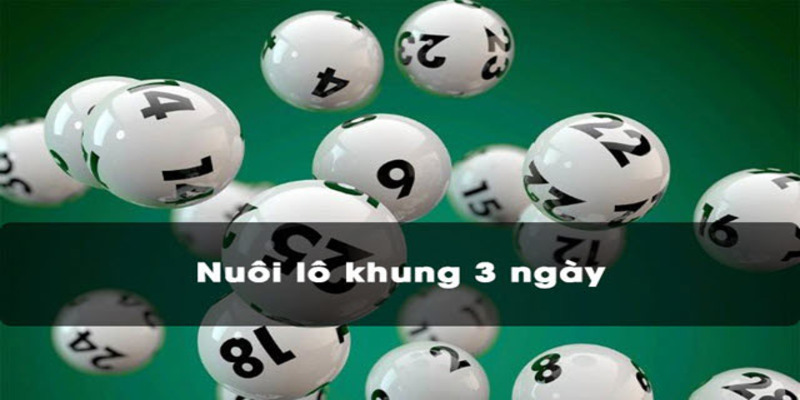 Thực hiện cách nuôi lô khung 3 ngày